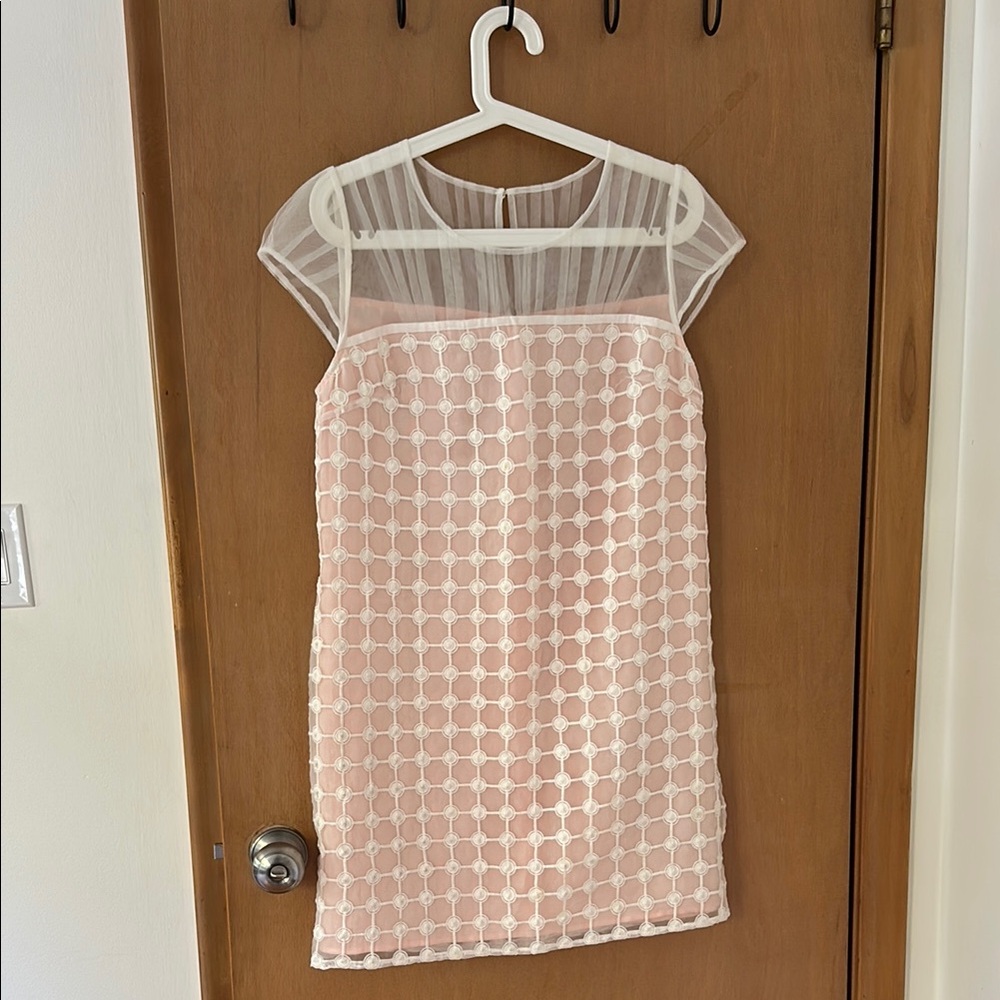 Chic Pink Sheer Polka Dot Organze Dress